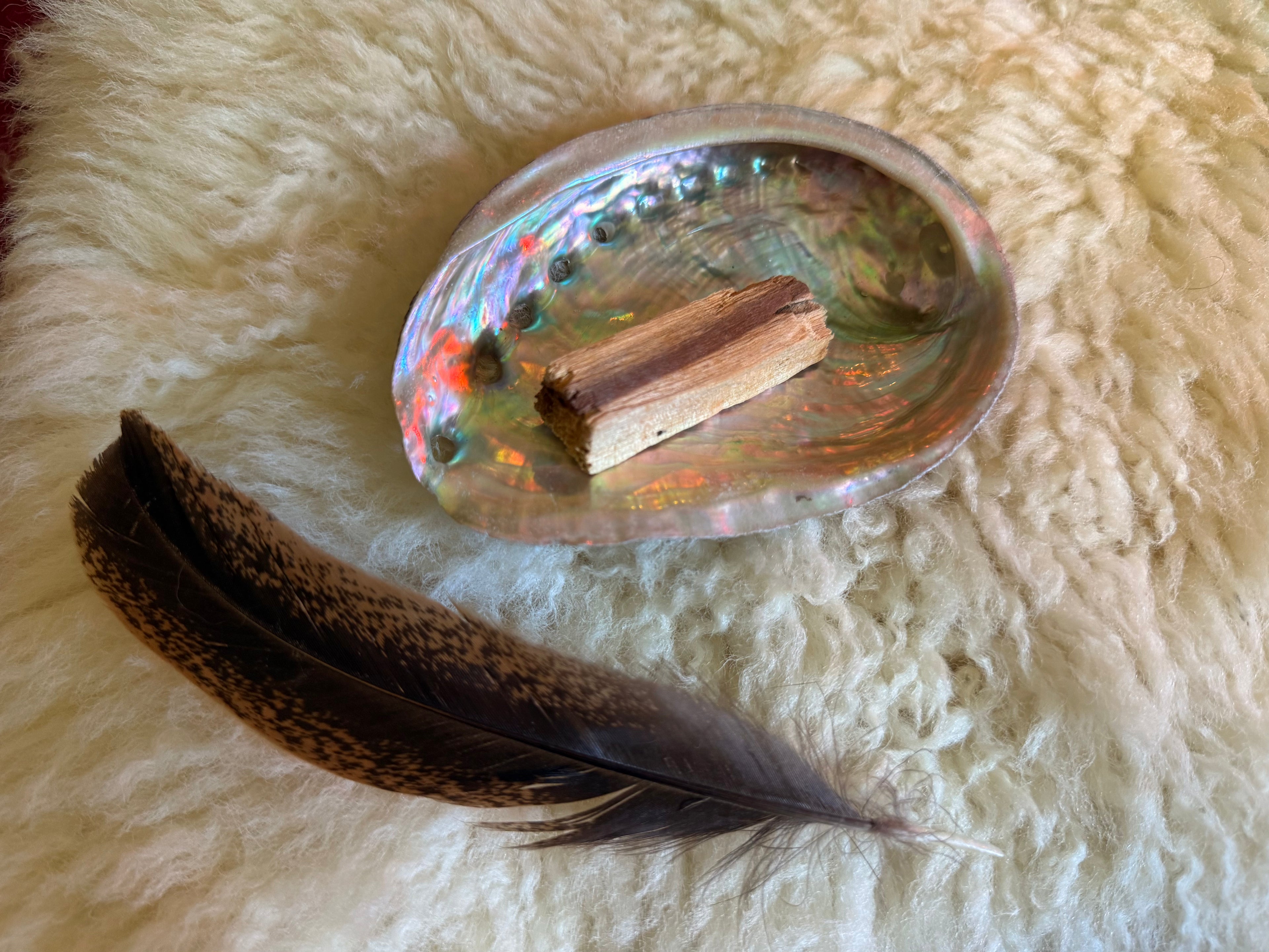 mini abalone shell with palo santo