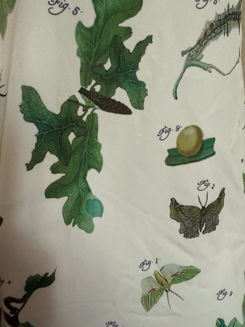 s entomology button down blouse